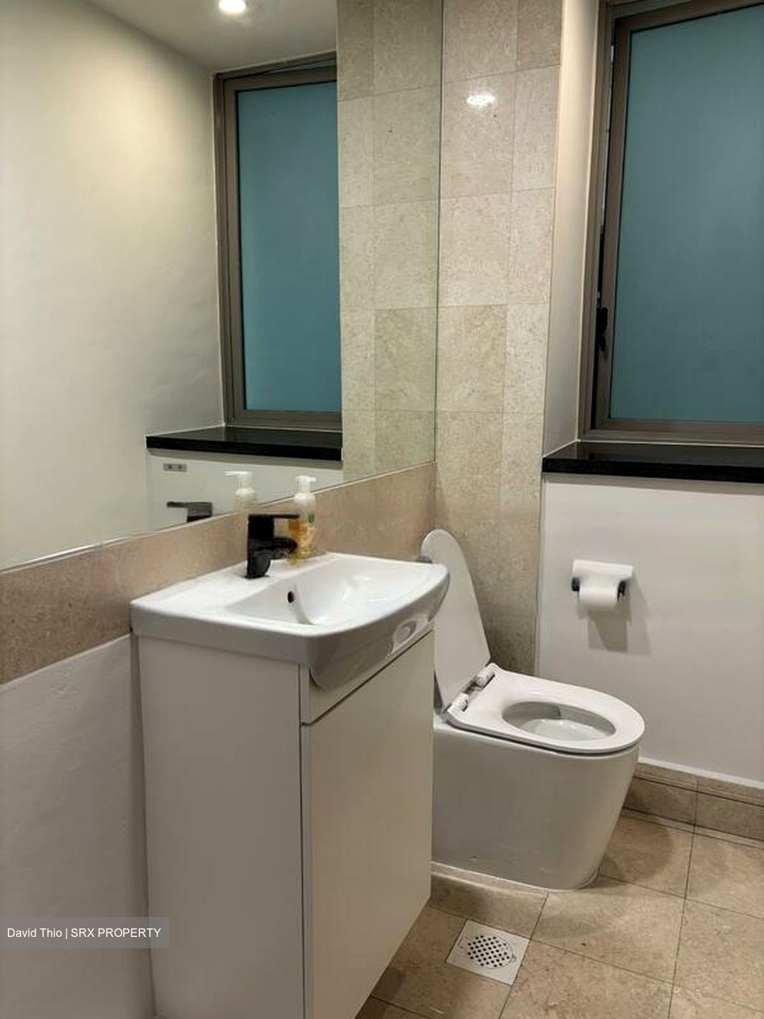 The Serenade @ Holland (D10), Condominium #453833871